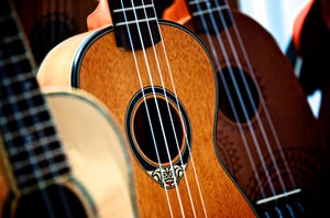 Professional Ukulele Instructors in Chicago 