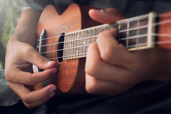 Ukulele Lessons in Glenview, IL